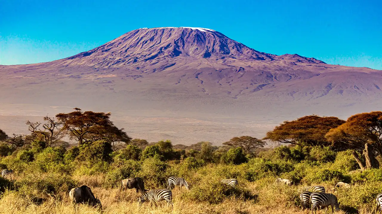 Afrikas 10 högsta berg