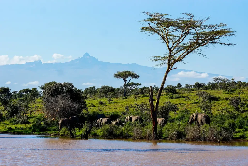 Mount Kenya