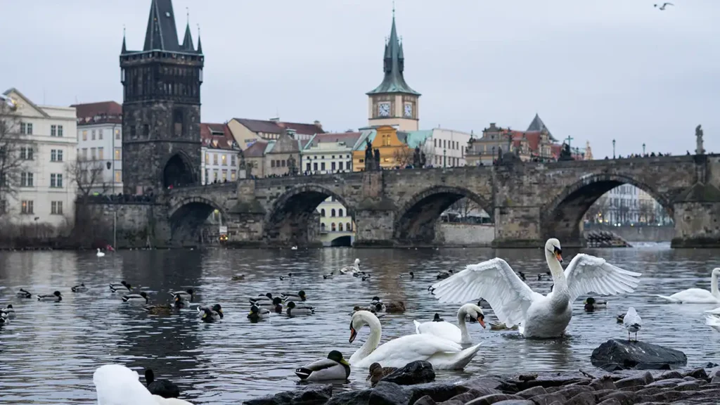 Charles Bridge