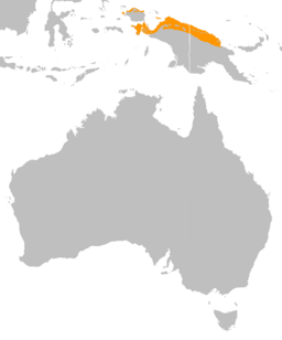 Northern Cassowary habitat