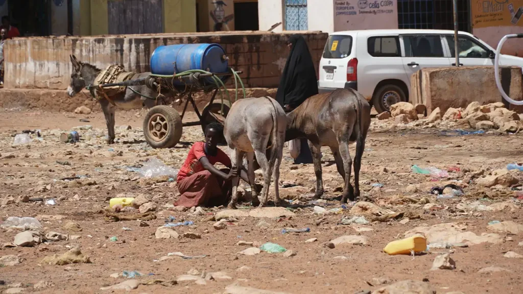 Somalia