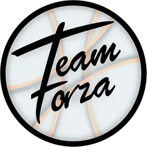 teamforza logotyp