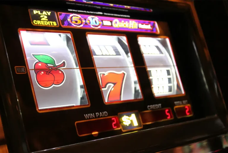 De 8 mest spelrika online casinon i Sverige 2024